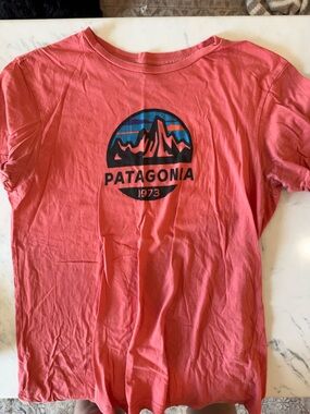 Patagonia Tee